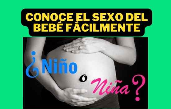 Conoce el sexo del bebé fácilmente